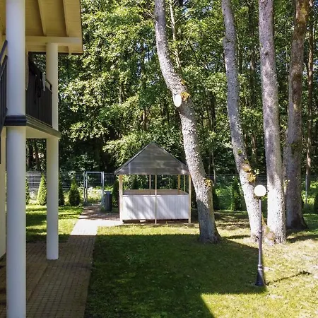 Nemirseta Forest * Palanga