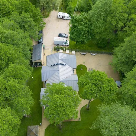 Nemirseta Forest Palanga