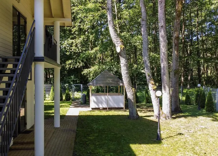 Nemirseta Forest * Palanga