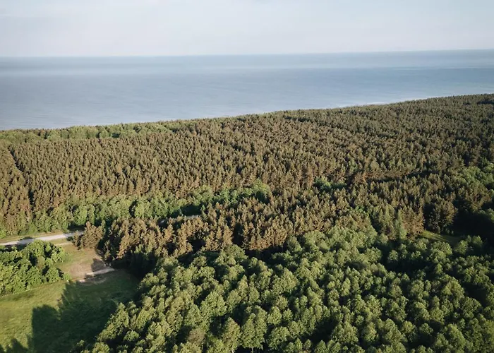 Nemirseta Forest Palanga