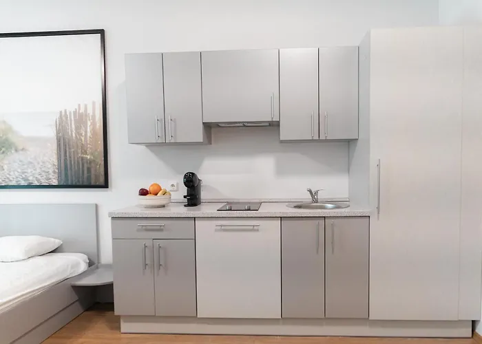 Nemirseta Forest Palanga